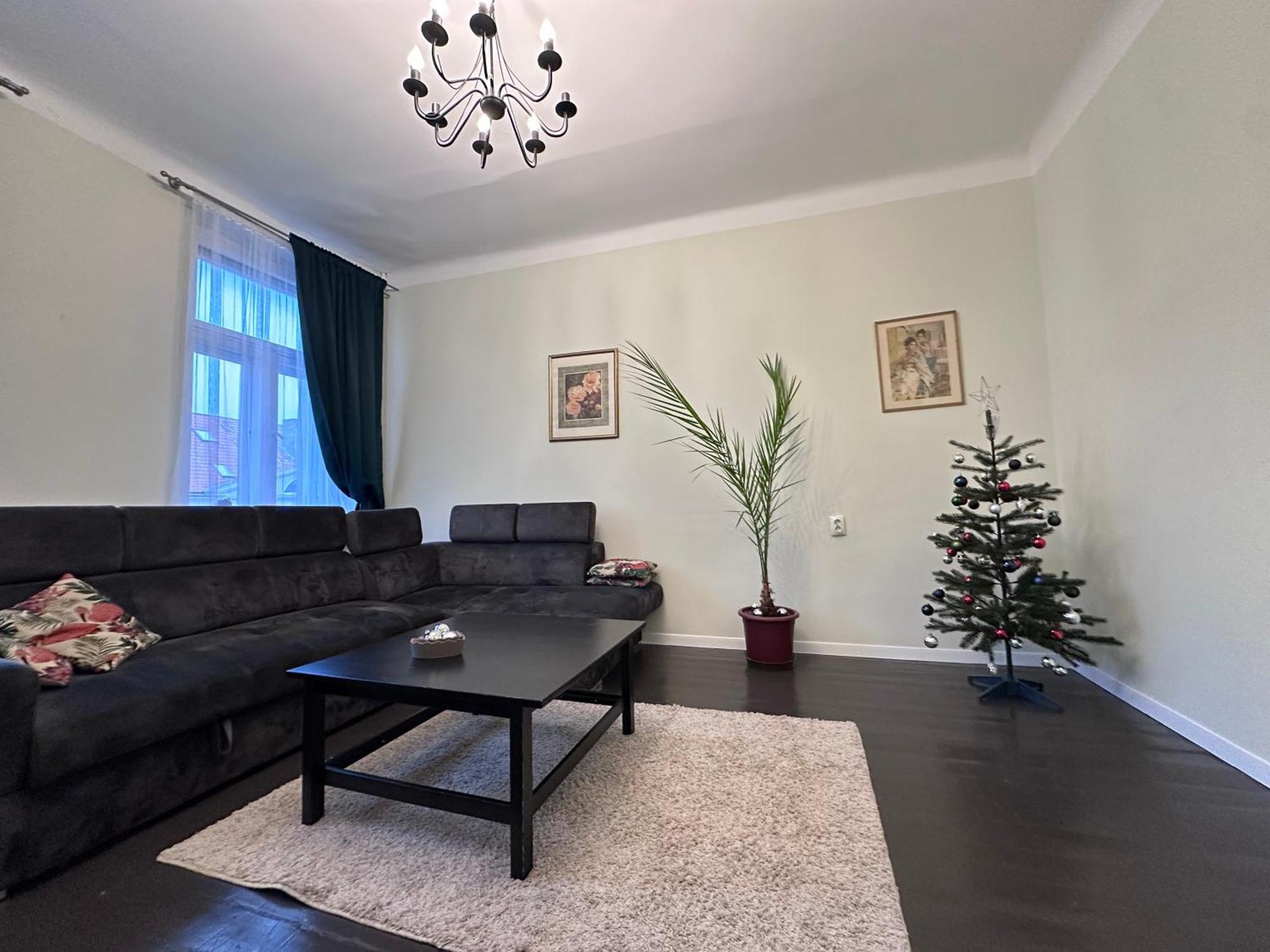 Classy Green Old Town Apartment 克莱佩达 外观 照片