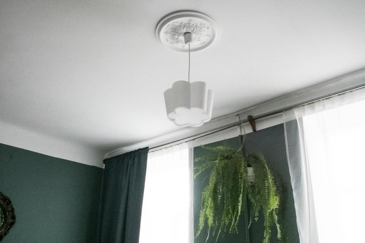 Classy Green Old Town Apartment 克莱佩达 外观 照片